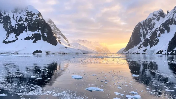 From Scottish Shores to Antarctic Ice!