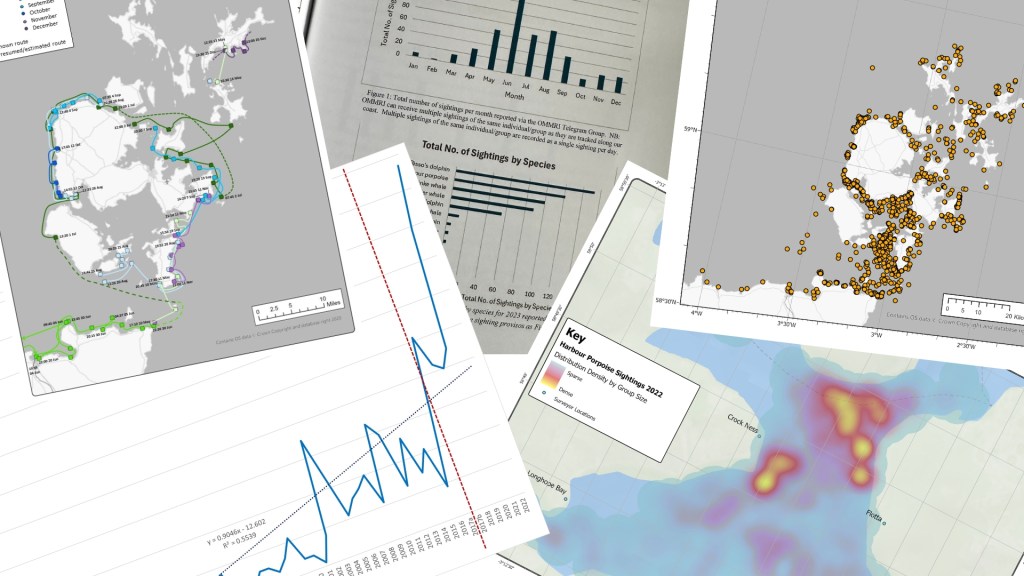 When the Passion That Drives You Starts to Drown You: Navigating Imposter Syndrome and Burnout in Cetacean Research