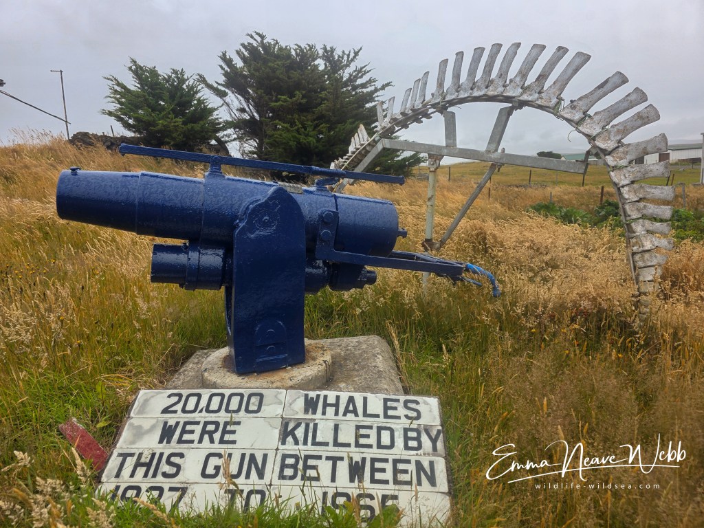 Harpoon gun which killed 20,000 whales